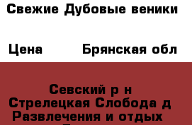 Свежие Дубовые веники › Цена ­ 55 - Брянская обл., Севский р-н, Стрелецкая Слобода д. Развлечения и отдых » Другое   